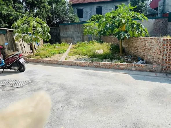 Ảnh bất động sản