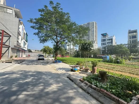 Ảnh bất động sản