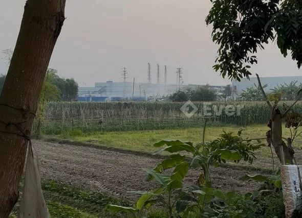 Xát khu công nghiệp việt tiến mình bán lô đất mặt tiền 6m đường oto chánh nhau thông ra tỉnh lộ 39