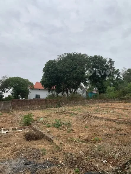 Thất Gian. Phù Lãng. Bắc Ninh-Dt:80m2 mt:4,8m- Hướng đông- Đường Rộng-sổ đẹp