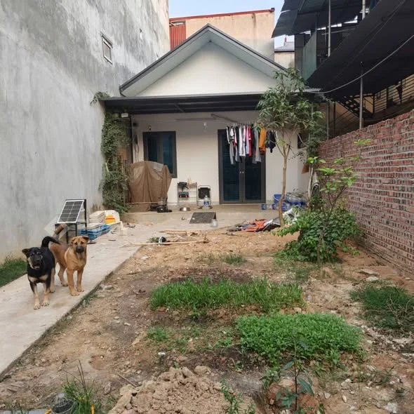 Ảnh bất động sản