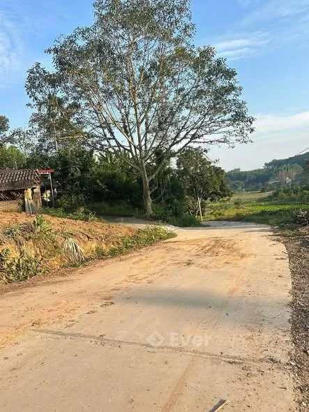 Chủ gửi bán lô đất 135m mét mặt tiền 7 mét. Sát cổng sân gôn yên thế giá hợp lý chỉ 3xxtr triệu