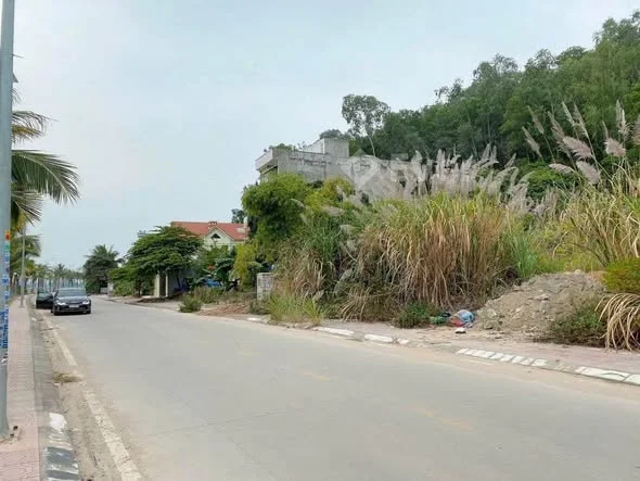 Ảnh bất động sản