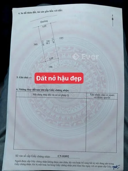 Ảnh bất động sản