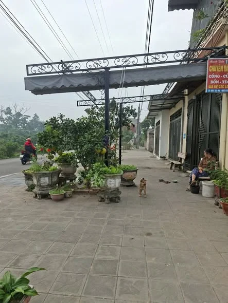 Ảnh bất động sản