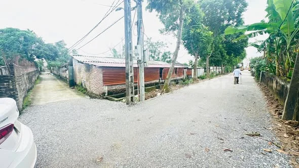 Đất thị trấn trần cao phù cừ hưng yên. Giá chỉ từ 6xxtr/1 lô Ô tô vào tận đất. 0389224***