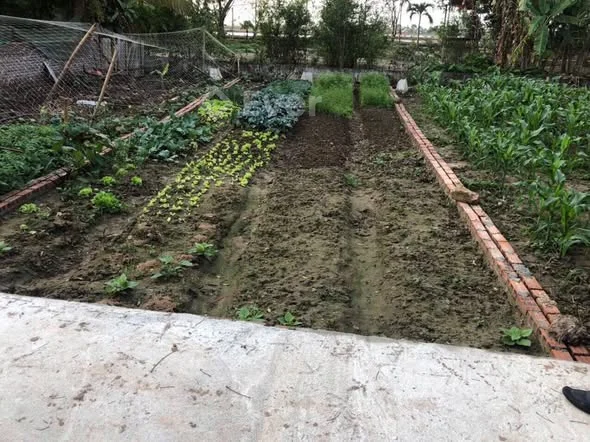 chủ gửi bán 63,6 m2 tại thủ phủ công nghiệp Ân Thi Hoàng xuyên-Văn Nhuệ-Ân Thi