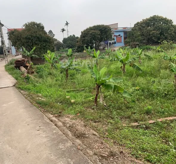 Đất nền Tam Đa, Hưng Yên, diện tích 96.6m2 - Đầu tư sinh lời ngay