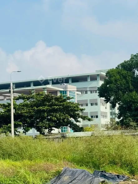 Giãn Dân Sản Nhi- Tiên Cầu- Hiệp Cường Kim Động 95,5m² – LÔ GÓC 2 MẶT TIỀN Mặt 5m – hậu 5m