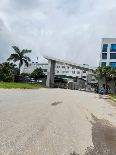 Tân Phát, Tân Dân – Hưng Yên Diện tích: 74.4m² (lô góc thoáng 2 mặt tiền)