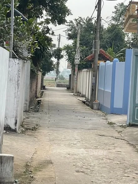 Ô TÔ THÔNG – TRUNG TÂM NINH XÁ – SÁT QL38 – GẦN VÀNH ĐAI 4 Dt 66,7m - Thỏa thuận - 66m²