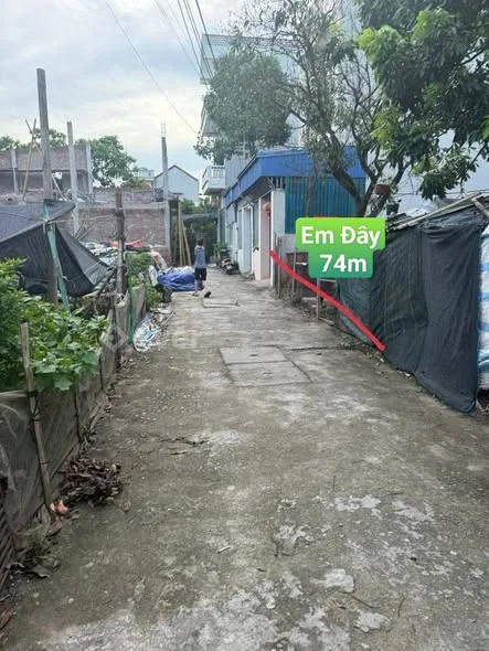 Ảnh bất động sản