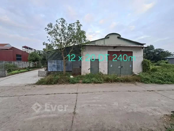 Thủ Sỹ Tiên Lữ Hưng yênMt 12m bằng hậu sâu 29m Dt 240m full thổ cư