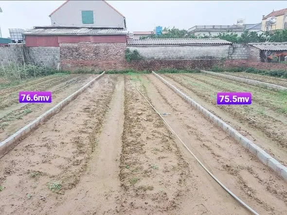 Ảnh bất động sản