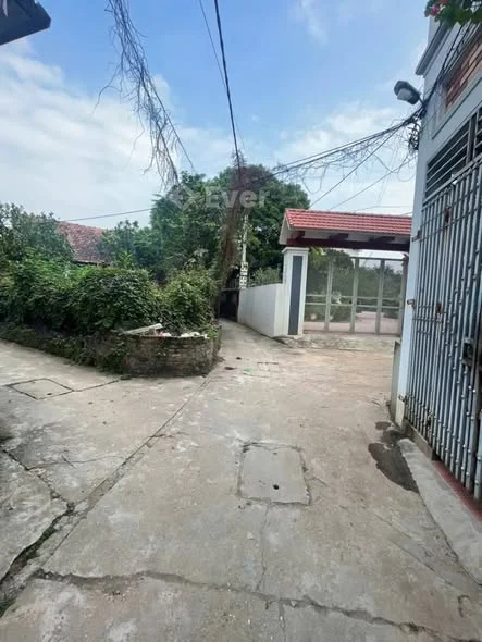 Hàng fo mới tinh Xuân Quan- Văn Giang -Hưng Yên Tài chính Cực hiếm giá chỉ từ 2 tỷ 8xx tr