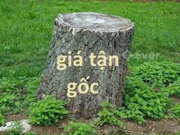 chính chủ gửi bán lô đất trục đường huyện ĐH27 xã Hoà Bình - kiến xướng - Thái Bình cũ