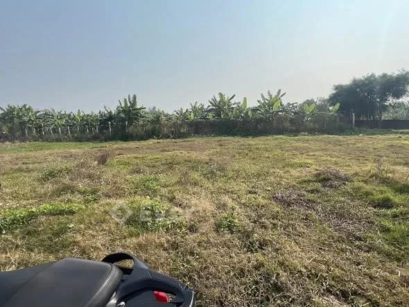 Trục đường liên xã Quốc Tuấn Kiến Xương TB ecó lô đất 120m full thổ cư