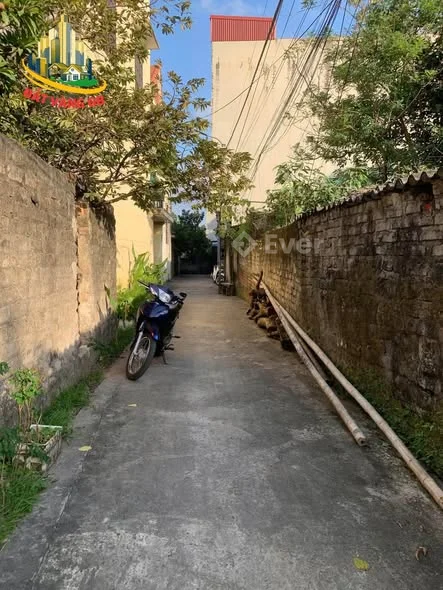 Bán đất giá rẻ phường Hoa Lư ( Bích Đào ) cách Nguyễn Công Trứ , siêu thị Go 100m