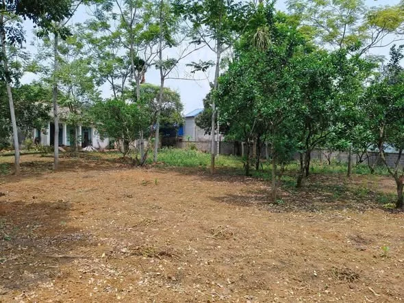 Ảnh bất động sản