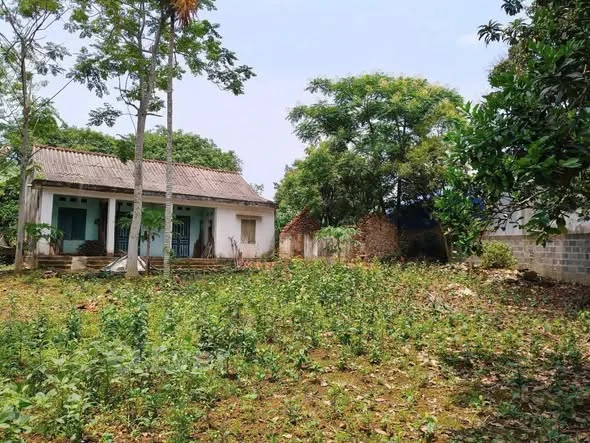 Ảnh bất động sản