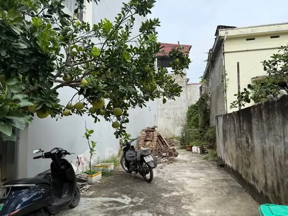 Chào bán lô đất phố Trung Thành phường Ninh Khánh ( phường Hoa Lư)