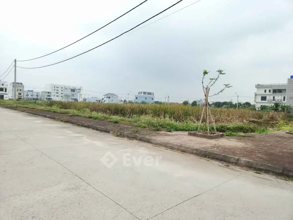 CƠ HỘI HIẾM – ĐẤT BẮC PHONG 2 G.IÁ NGỘP, DIỆN TÍCH LỚN, MT 7M 133m²