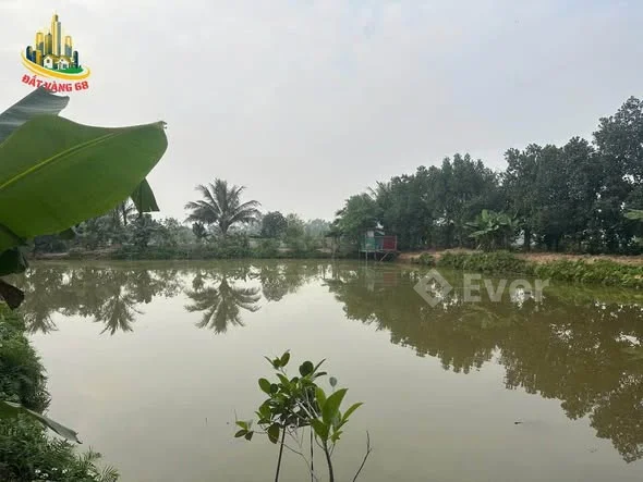 Chủ nhà gửi bán lô đất rộng đẹp thôn Vàng Ngọc - Xã Trường Yên cũ Giờ Thuộc Phường Tây Hoa Lư