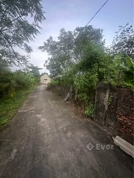 Bán lô đất đẹp thuộc thôn Tụ An - Trường Yên - Hoa Lư phù hợp làm homestay hay khu nghỉ dưỡng gia