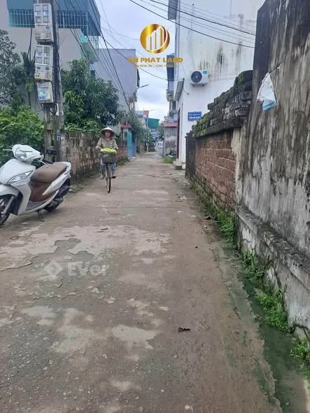 BÁN ĐẤT HIẾM – NGÕ 141 PHẠM THUẬT DUẬT – NINH SƠN – GIÁ 1. X TỶ