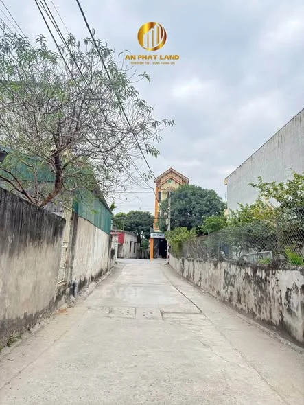 BÁN 2 LÔ LIỀN KỀ – CỔ LOAN HẠ 1, NINH TIẾN – 1. X TỶ Hướng: Đông Bắc - Thỏa thuận - 111m²