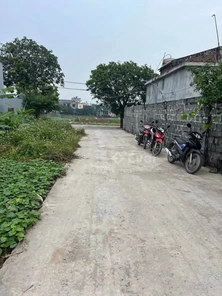 Rẻ nhất khu lô đất Tại Phường Lý Thường Kiệt -Ninh Bình ( Thanh sơn - kim bảng cũ)