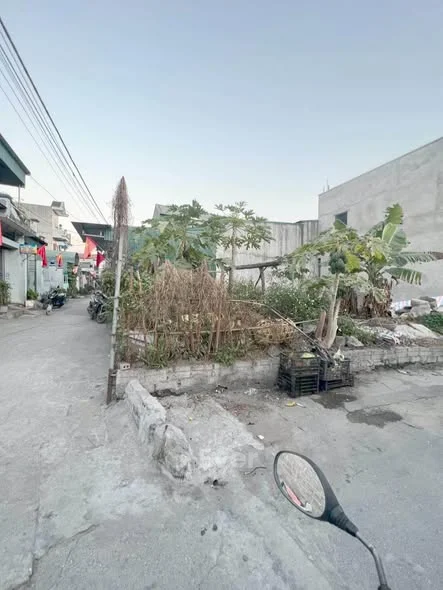 Chính chủ e gái cần bán ô đất tại Cẩm Phú Đường ô tô, 2 mặt thoáng Gần chợ, trường học.... Dt 65m2