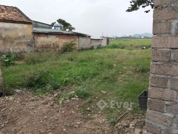 Mảnh đất gần ngay Trục chính ở Khu 6- Đúc Chính- Đông Triều -Dt 265m2 có 100m2