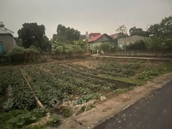 Bán cắt lỗ hai lô đất Hữu Thủ 2 , Kim Long , Tam Dương