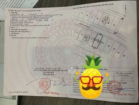 Bán 2 lô tái định cư Đầm Sen Hà Khẩu ko lỗi lầm Đất 2 mặt đường trước sau hiện đang hoàn thiện