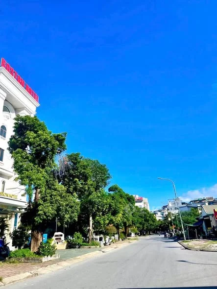 Bán Ô Góc Vựng Đâng.Cienco5 Yết KiêuB24-1 Diện tích : 141m2 ( nở hậu )Hướng : Tây Nam - Tây Bắc