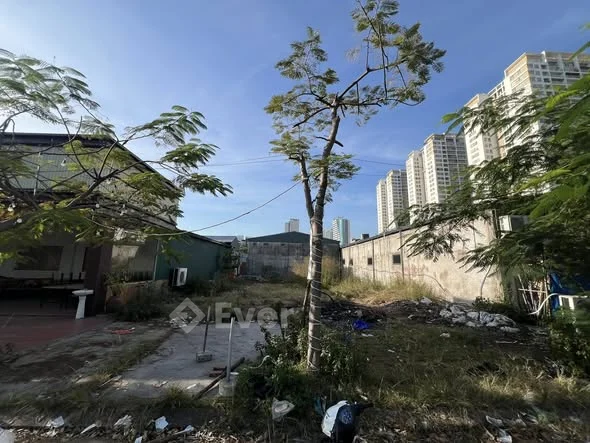 Cho thuê đất dài hạn cạnh SIÊU THỊ ỐC THUỲ LINHĐối diện chung cư Newlife