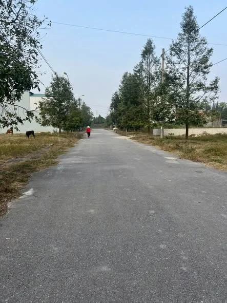 Ảnh bất động sản