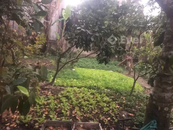 BÁN ĐẤT TẶNG NHÀ MÁI BẰNG TẠI THÔN THỔ BẮC, XÃ THẮNG LỢI