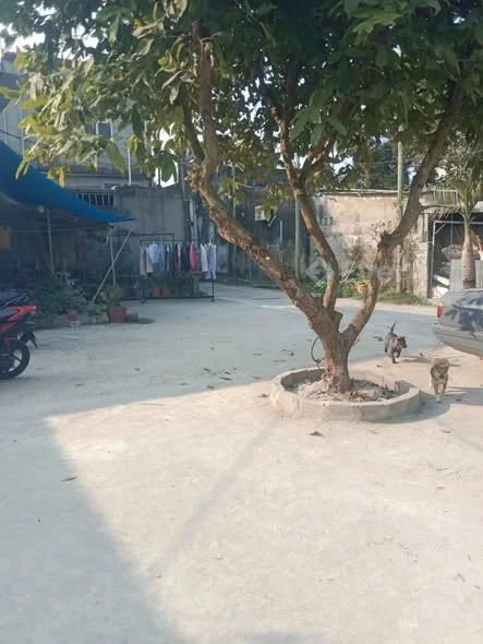 BÁN ĐẤT Ở PHƯỜNG QUẢNG ĐÔNG 80m² – khu dân cư đông Ô tô vào tận nơi, đỗ 4–5 xe Giá mềm chỉ 1.xx