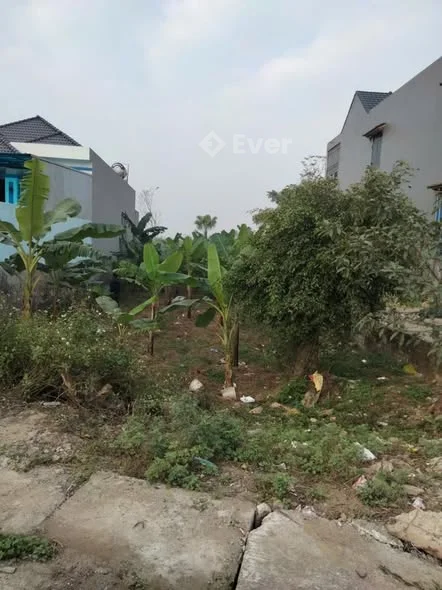 Chính chủ bán gấp lô đất mặt tiền QL47C, xã Dân Lực (trước đây), Triệu Sơn