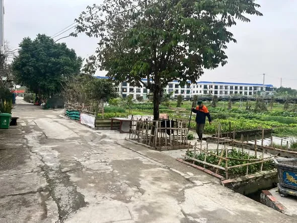 ĐẤT NGỌC MAI – QUẢNG PHÚ (QUẢNG THÀNH CŨ) Diện tích 68m² (4×17), thửa đất vuông vắn, dễ xây