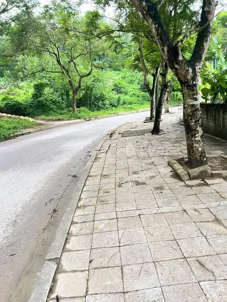 SIÊU PHẨM ĐẤT HÀM RỒNG – GIỮ TIỀN CỰC TỐT Trục chính Trịnh Thế Lợi