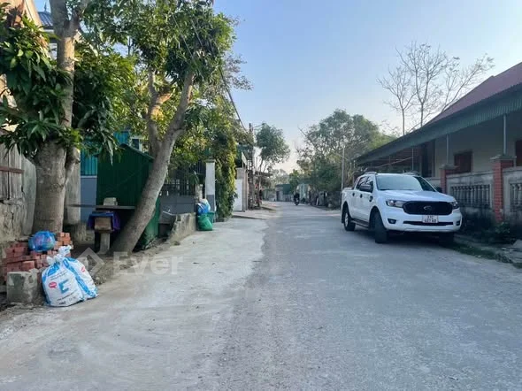 Bán đất Kim Mỹ, Nghi Ân