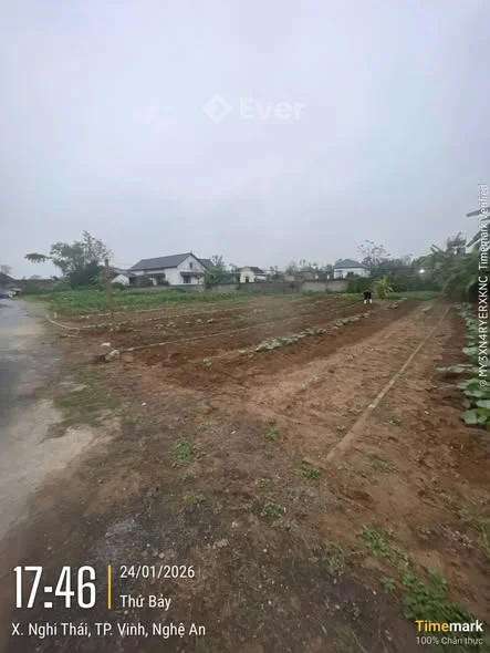 SIÊU PHẨM ĐẤT ĐẸP TRUNG TÂM XÃ NGHI THÁI (CŨ) PHƯỜNG VINH LỘC