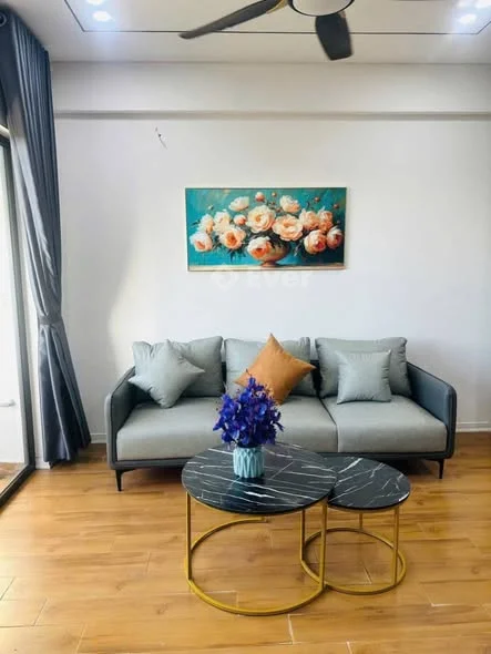 Chính chủ gửi bán căn hộ chung cư arita Phan Bội Châu,phường quán bàu