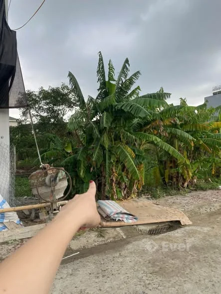 Đất Đấu Giá Trung Nghĩa - Đông Vĩnh Diện tích: 66,6m2 Hướng: Tây Nam