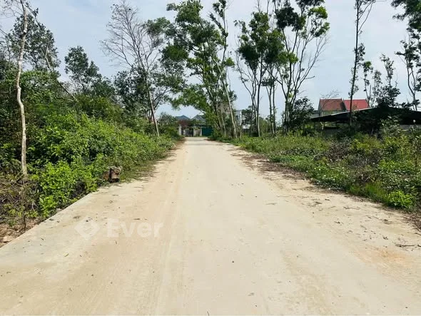 Bán lô đất Vinh Lộc (Nghi Thái cũ) , Tp Vinh Diện tích: 377,8 m2 ( 9,65 * 23,65)