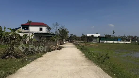 Bán lô đất Thôn Trung Nam Thạch lưu cũ Nay thuộc xã Toàn lưu!104,4 m2