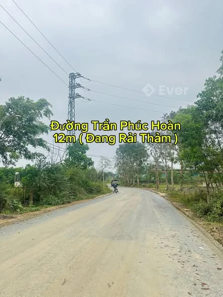 Ảnh đại diện Nguyễn Tiến Minh